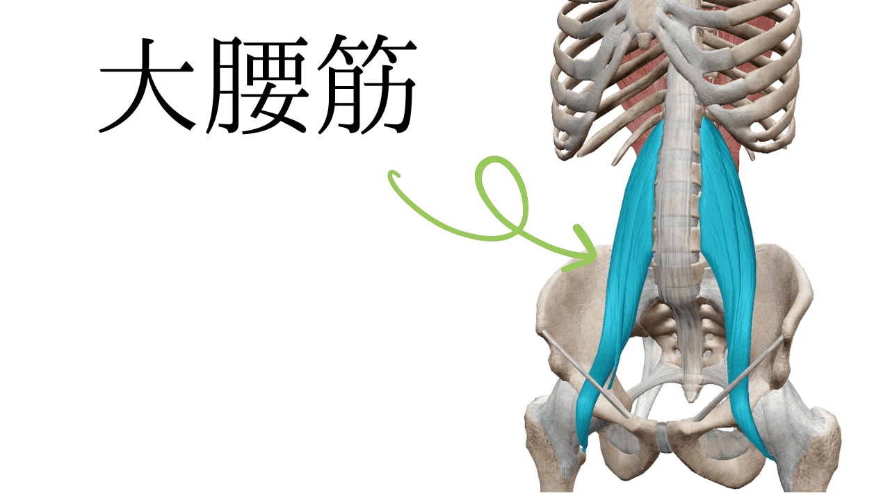 大腰筋