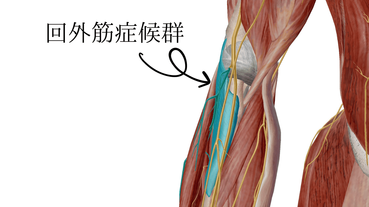 後骨間神経