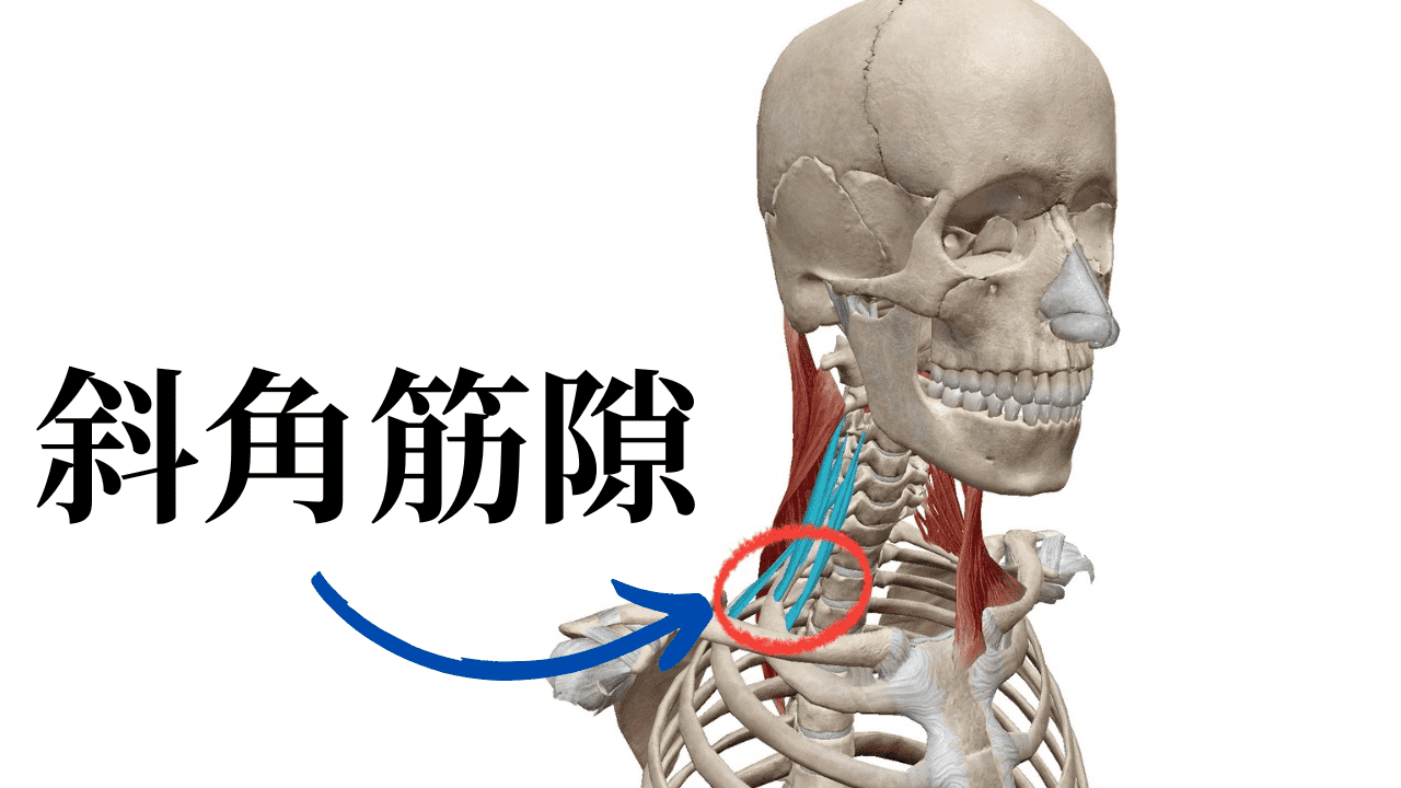 斜角筋隙