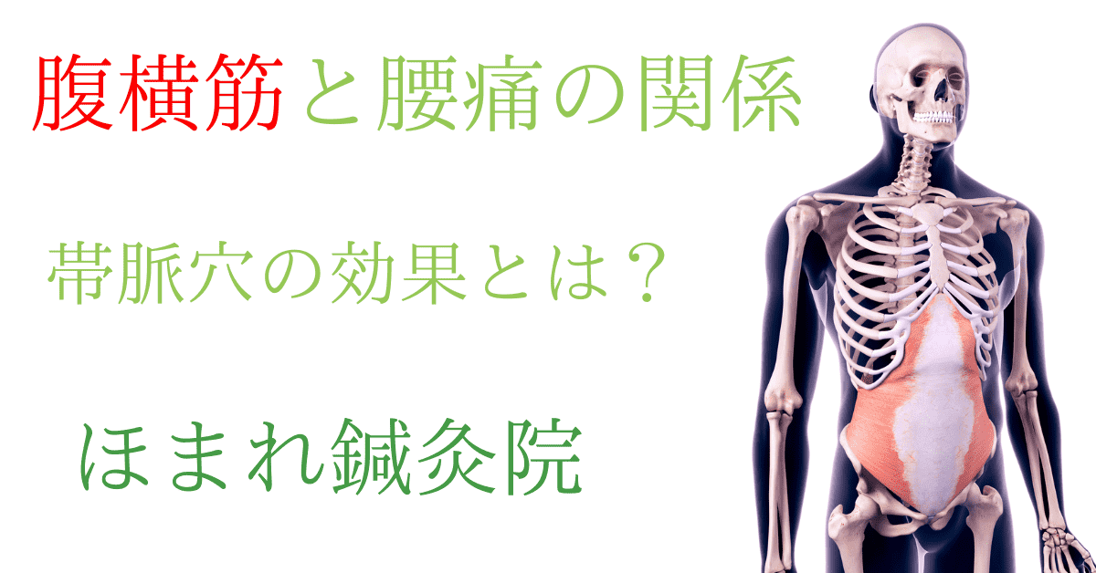 腹横筋と腰痛の関係ついて