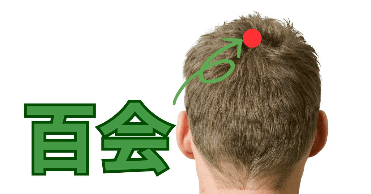 百会