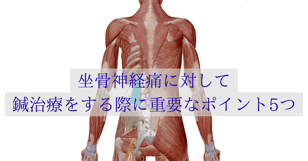 坐骨神経痛に対して鍼をする際に重要なポイント5つ