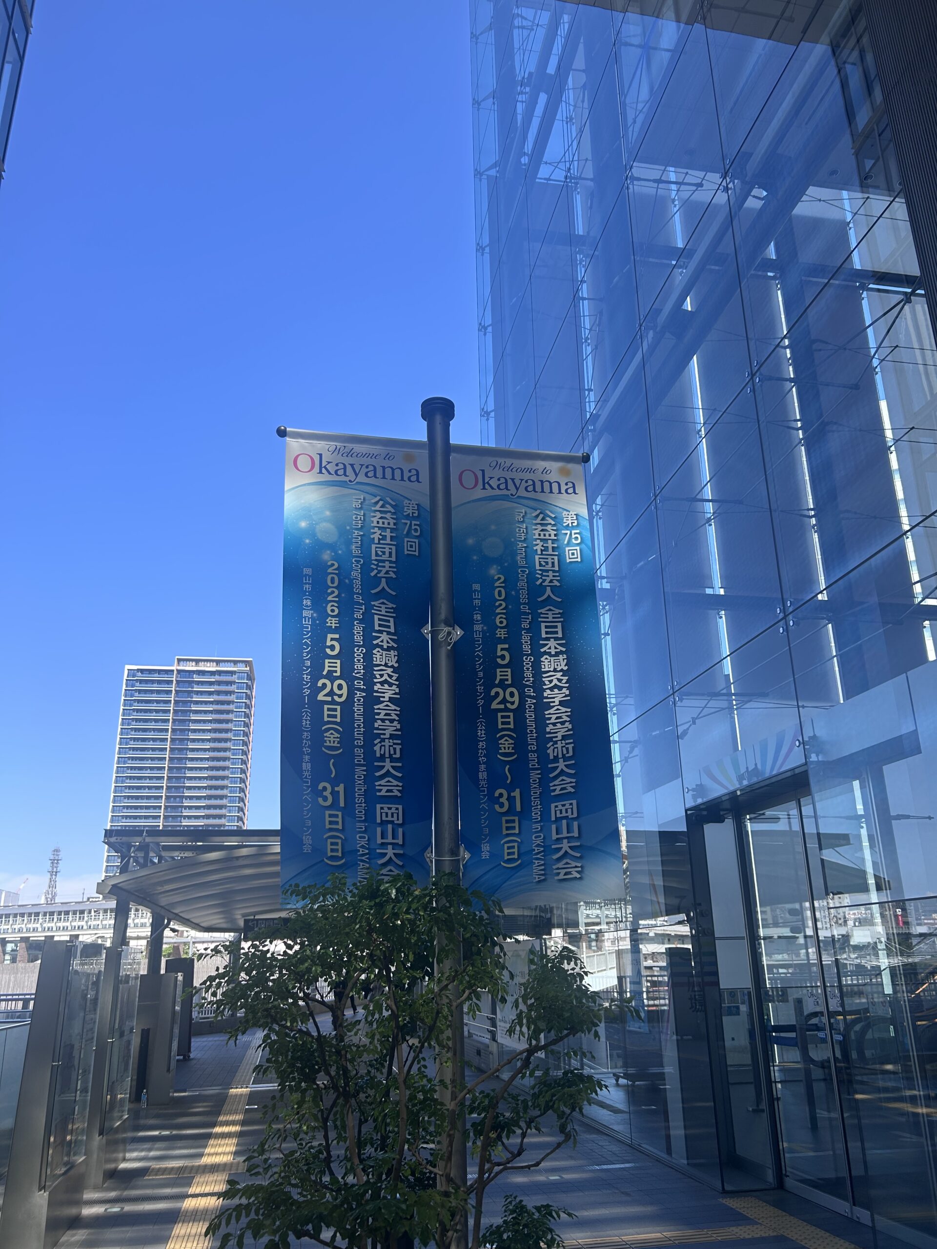 全日本鍼灸学会