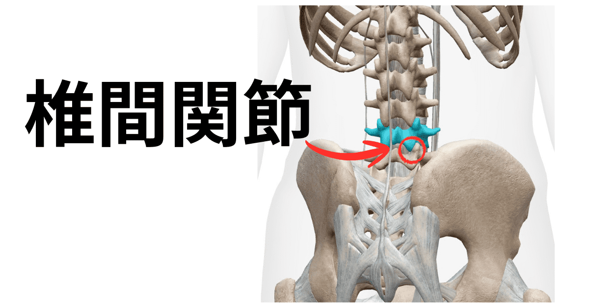 椎間関節